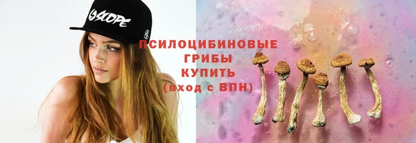 каннабис Белокуриха