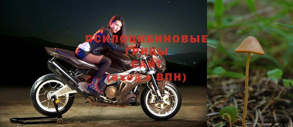 мяу мяу мука Беломорск