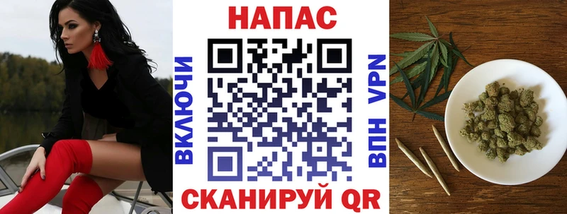 Бошки Шишки гибрид  Высоцк 